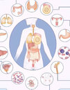 El rol de los parásitos en el cáncer de la carcionogénesis a la terapéutica.jpg.jpg