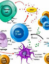 webinar precisón en oncología.jpg.jpg